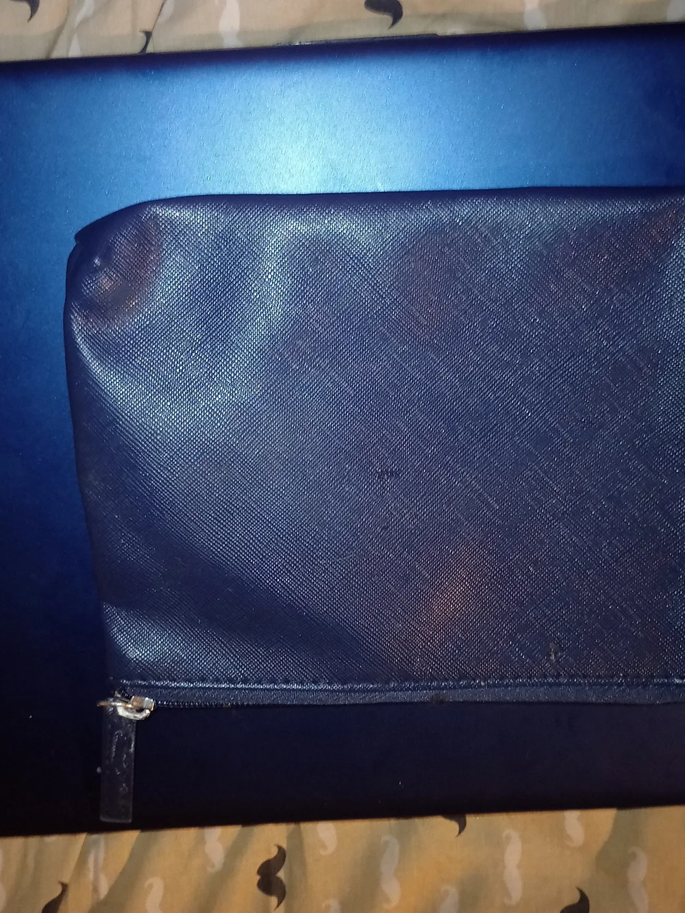 Nautica zip pouch